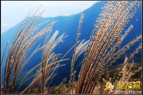 ��ݸ������ (5).jpg